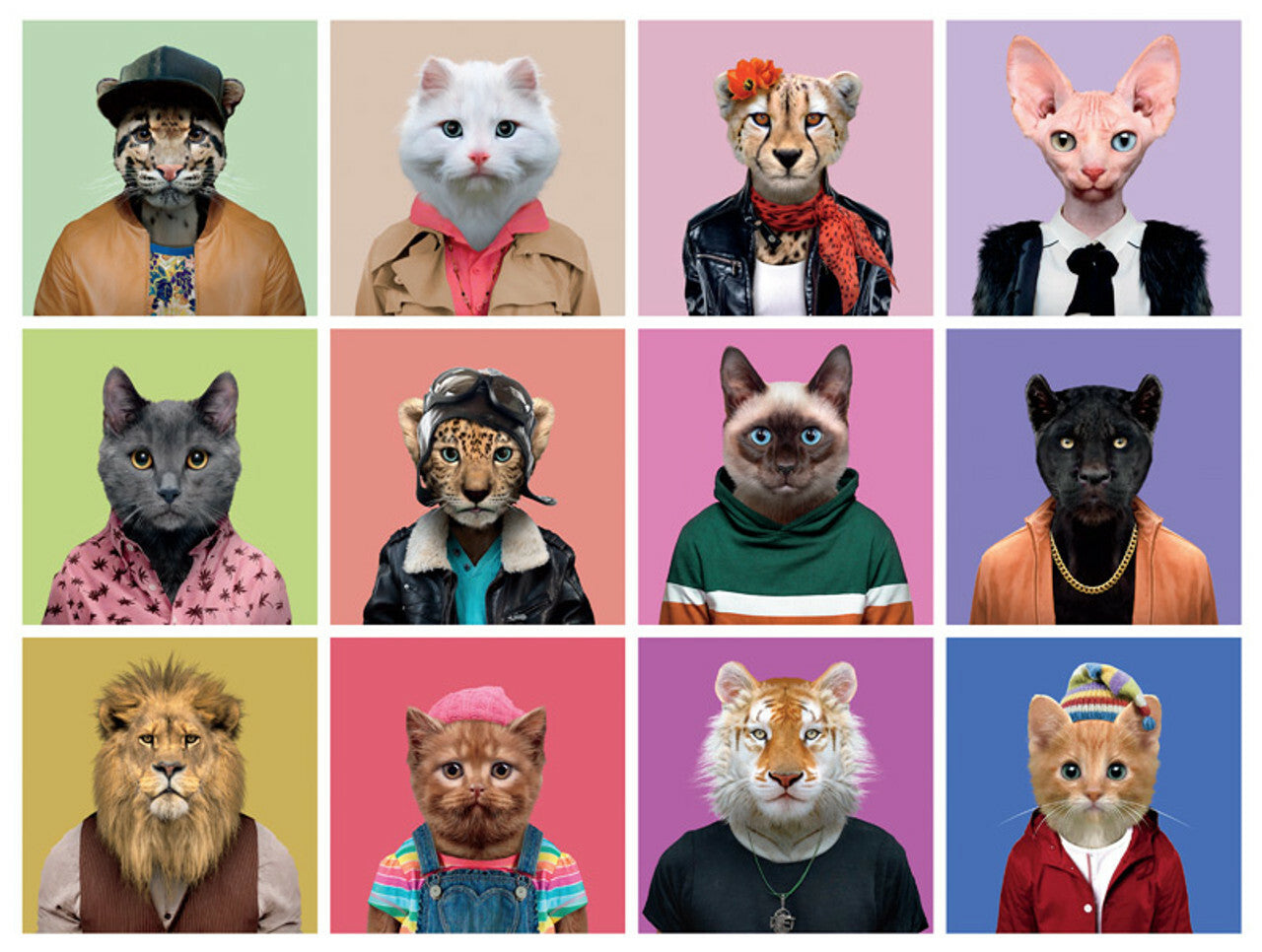Cats™ Puzzles