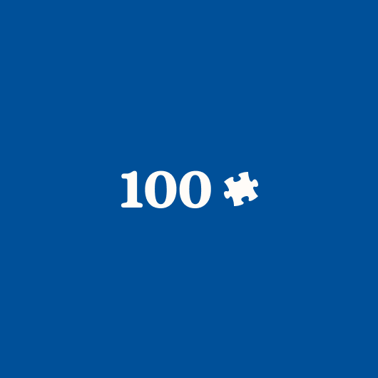 100 Piece Puzzles