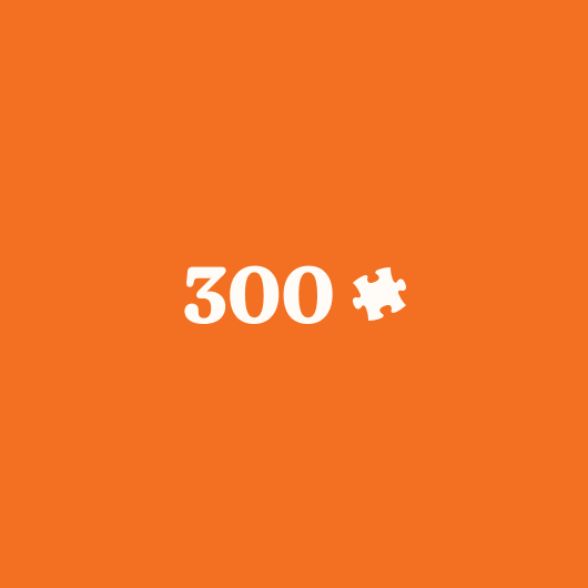 300 Piece Puzzles