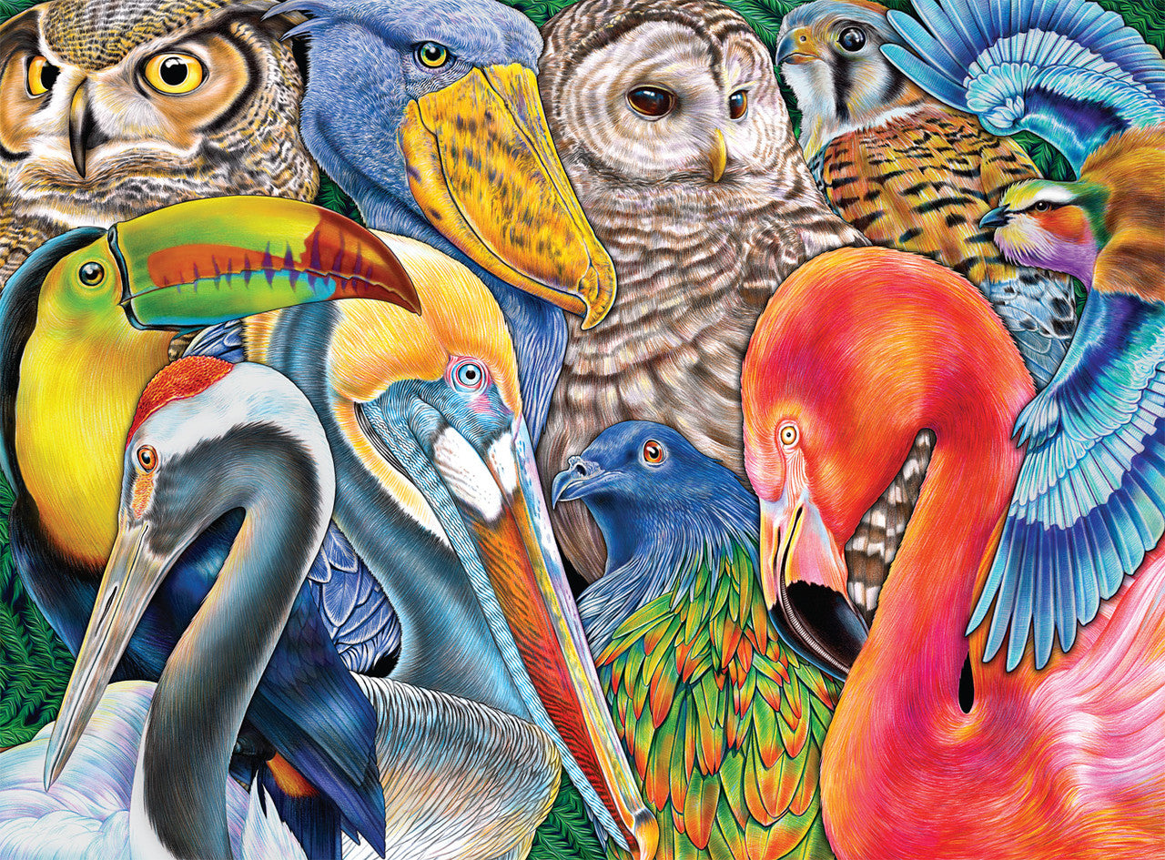 Tim Jeffs: Bird Bonanza 1000 Piece Puzzle