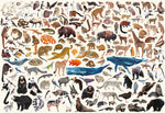 Conservation Collage 2000 Piece Puzzle