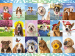 Art of Play It's a Ruff Life 1500 Piece Jigsaw Puzzle