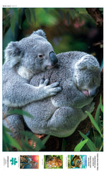 Earthpix Bear Hug 500 Piece Jigsaw Puzzle Poster