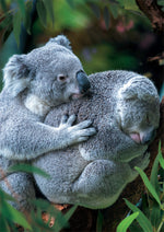 Earthpix Bear Hug 500 Piece Jigsaw Puzzle