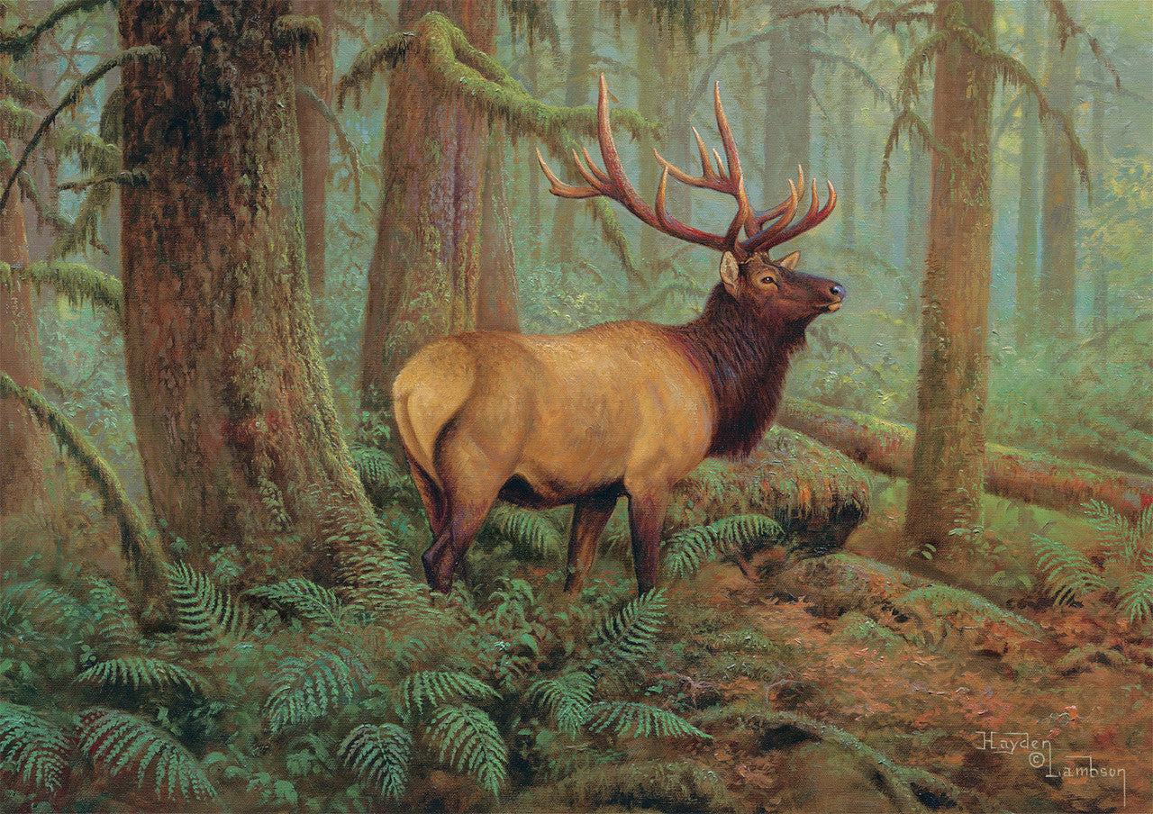 Bonjour: Forest King 500 Piece Puzzle