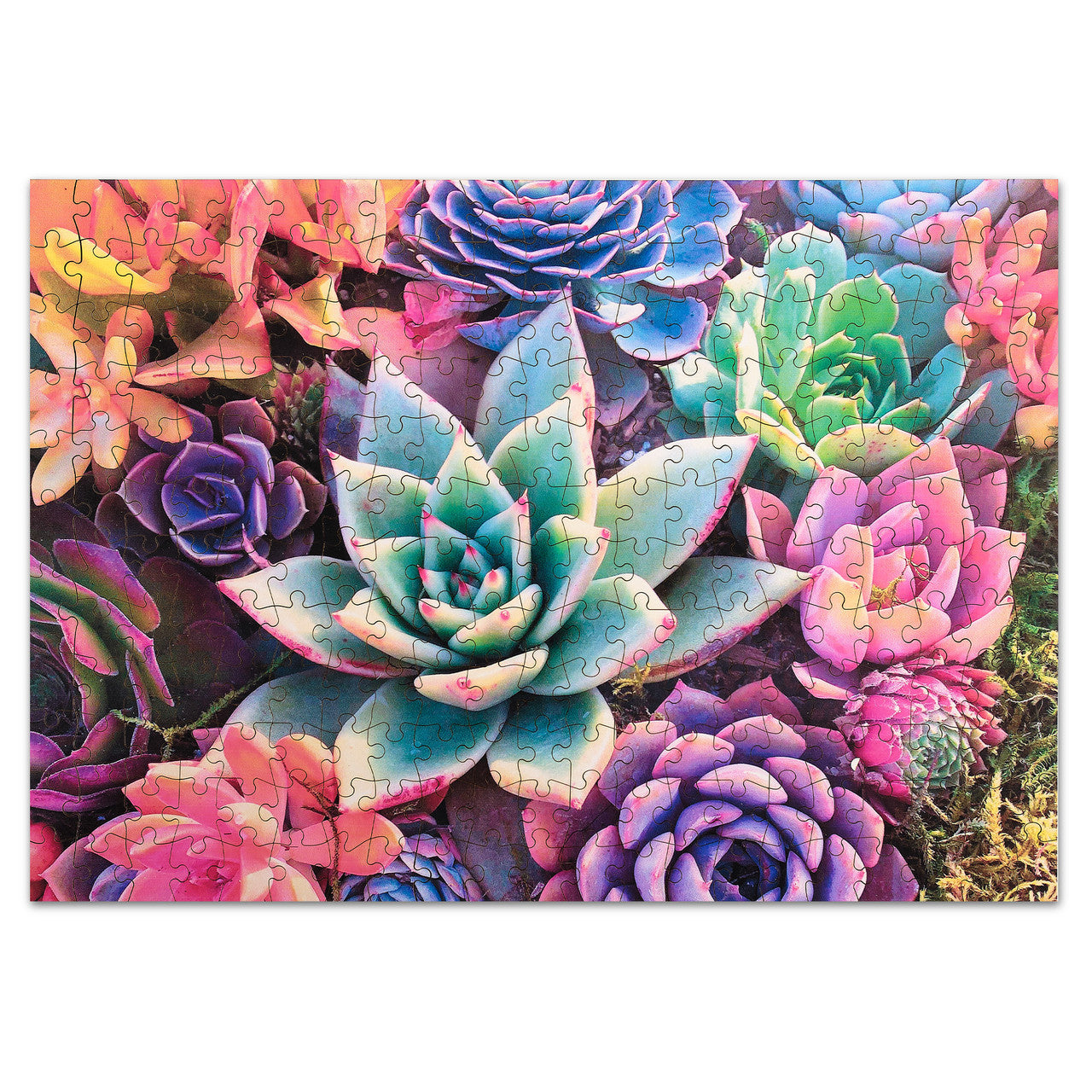 Wood Puzzle: Simple Succulent 250 Piece Puzzle