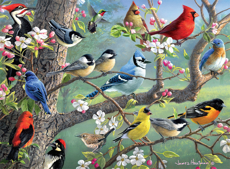 Hautman Brothers Birds in an Orchard 1000 Piece Jigsaw Puzzle