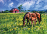 Country Life: Near and Dear 1000 Piece Puzzle