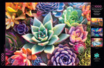 Photography Simple Succulent 1000 Piece Jigsaw Puzzle Poster