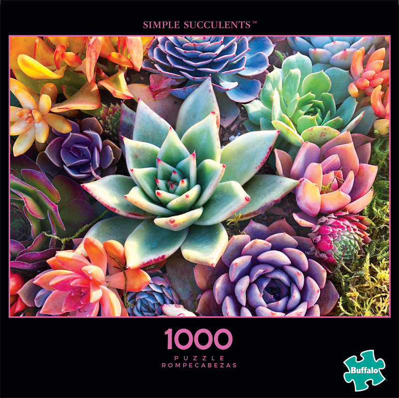 Photography Simple Succulent 1000 Piece Jigsaw Puzzle Front