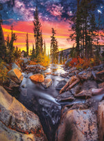 Photography: Forest Magic Hour 1000 Piece Puzzle