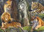 Hautman: Big Cat Collage 1000 Piece Puzzle
