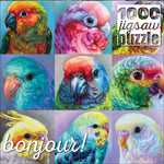 Bonjour: Parrot Perfection 1000 Piece Puzzle