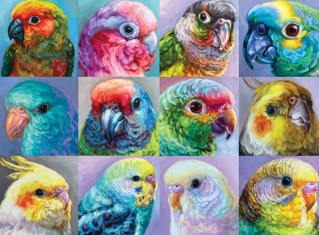 Bonjour: Parrot Perfection 1000 Piece Puzzle
