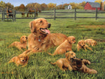 Dog Days: Glorious Goldens 750 Piece Puzzle