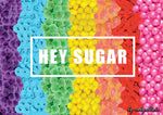Vivid: Hey Sugar 300 Piece Jigsaw Puzzle
