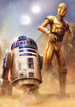 Star Wars: Droids at Tatooine 300 Piece Puzzle