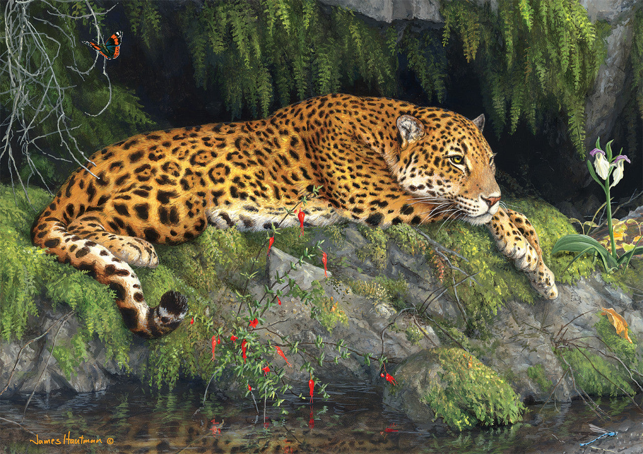 Hautman: Jaguar and Butterfly 300 Piece Puzzle