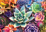 James Mertke: Simple Succulents 300 Large Piece Puzzle
