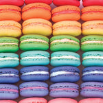 Macaron Spectrum 300 Large Piece Jigsaw Puzzle