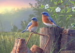 Hautman Brothers: Daybreak Bluebirds 500 Piece Puzzle