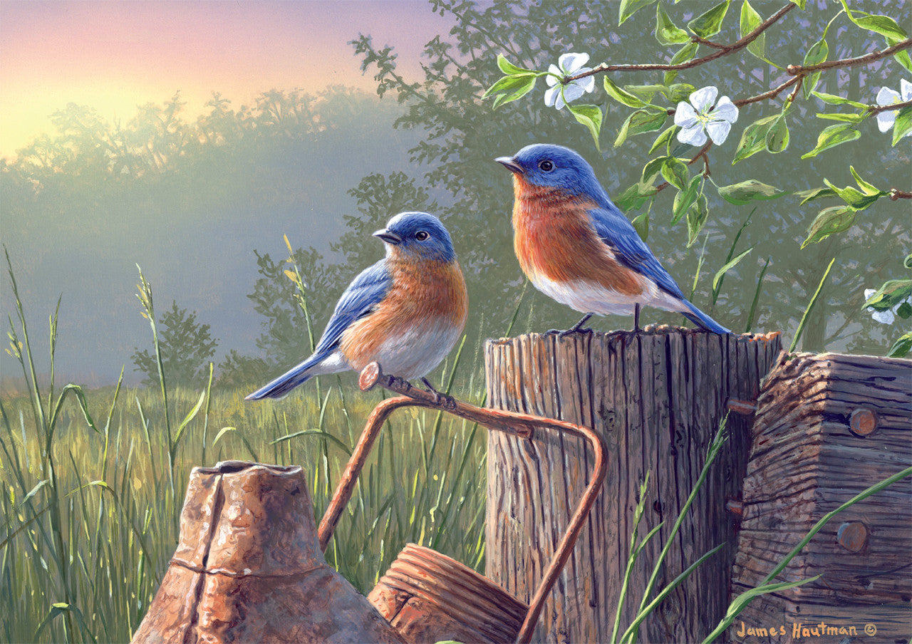 Hautman Brothers: Daybreak Bluebirds 500 Piece Puzzle