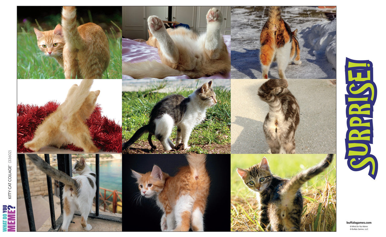 What Do You Meme Kitty Collage 500 Piece Prank Jigsaw Puzzle Poster