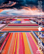 blanc Infinity Fields of the Netherlands 1000 Piece Jigsaw Puzzle Front