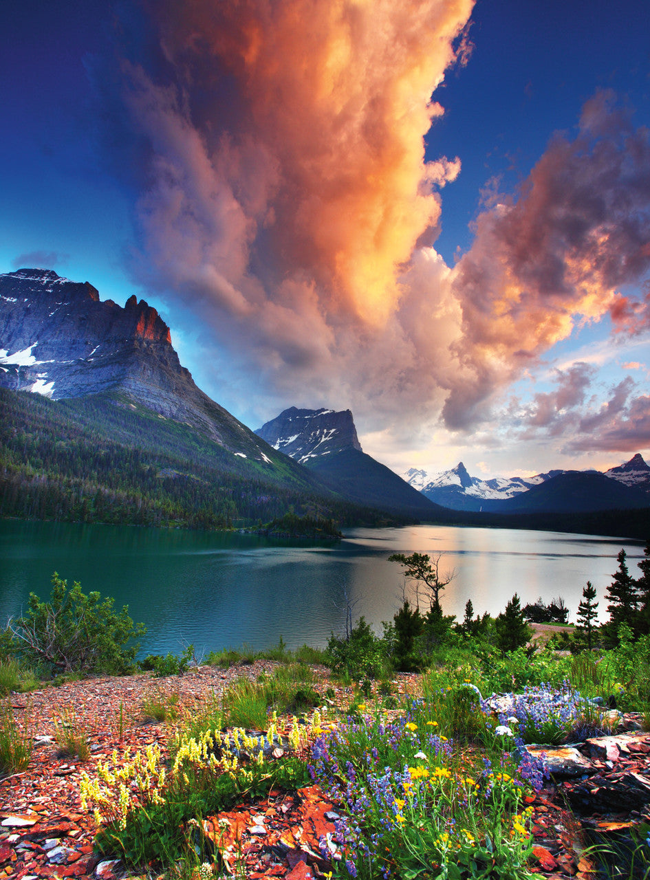 Buffalo Gold: Glacier National Park 1000 Piece Puzzle