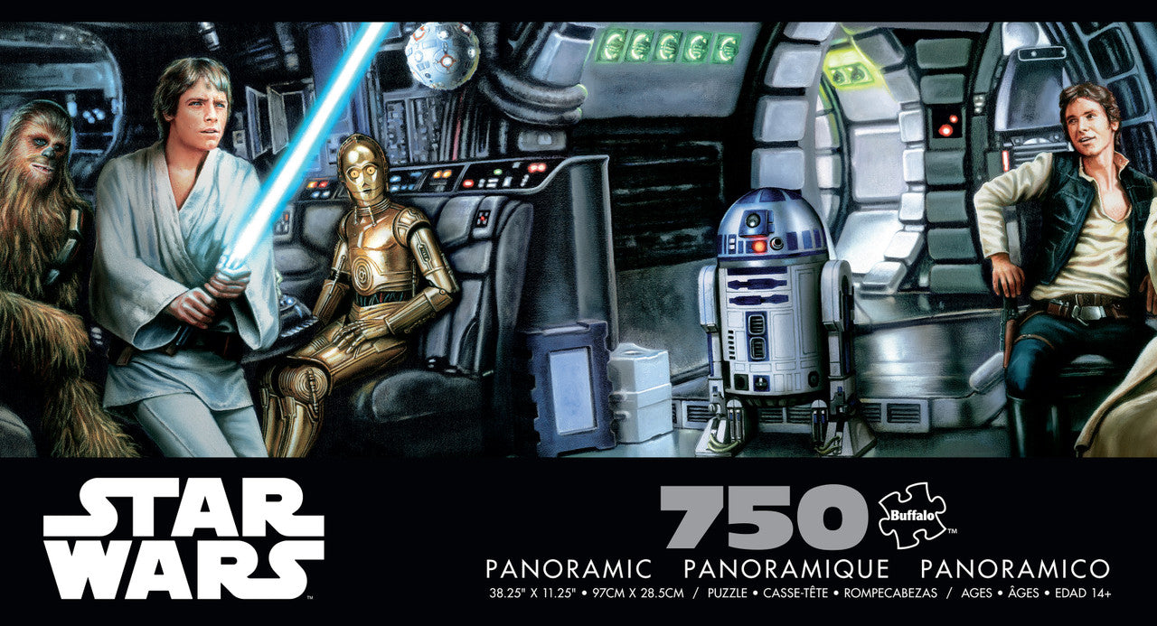 Star Wars - Jedi Training Begins 750 Piece Panoramic Puzzle