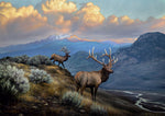 Gold Collection – A Serene Stillness - 500 Piece Jigsaw Puzzle