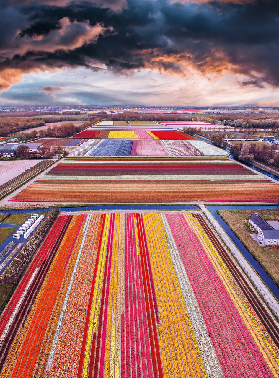 blanc Infinity Fields of the Netherlands 1000 Piece Jigsaw Puzzle