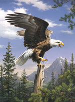 Hautman: Screaming Eagle 1000 Piece Puzzle