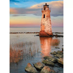 blanc - Tybee Island 300 Piece Jigsaw Puzzle