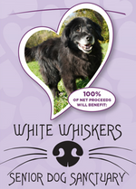 Nichols School ❤️ White Whiskers - Class of 2029 Community Connections 300 Piece Jigsaw Puzzle