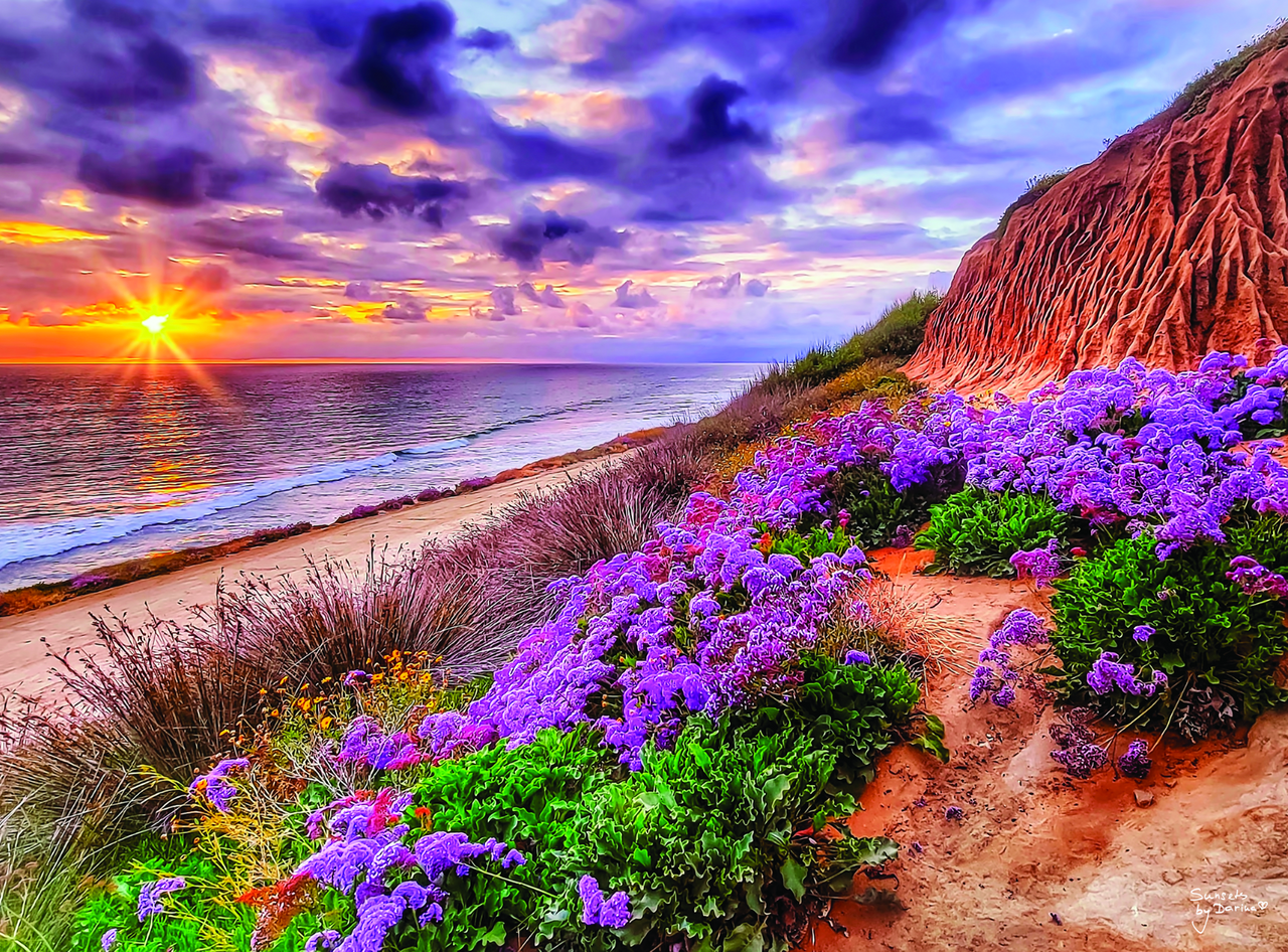 Buffalo Gold: Torrey Pines Beach 1000 Piece Puzzle