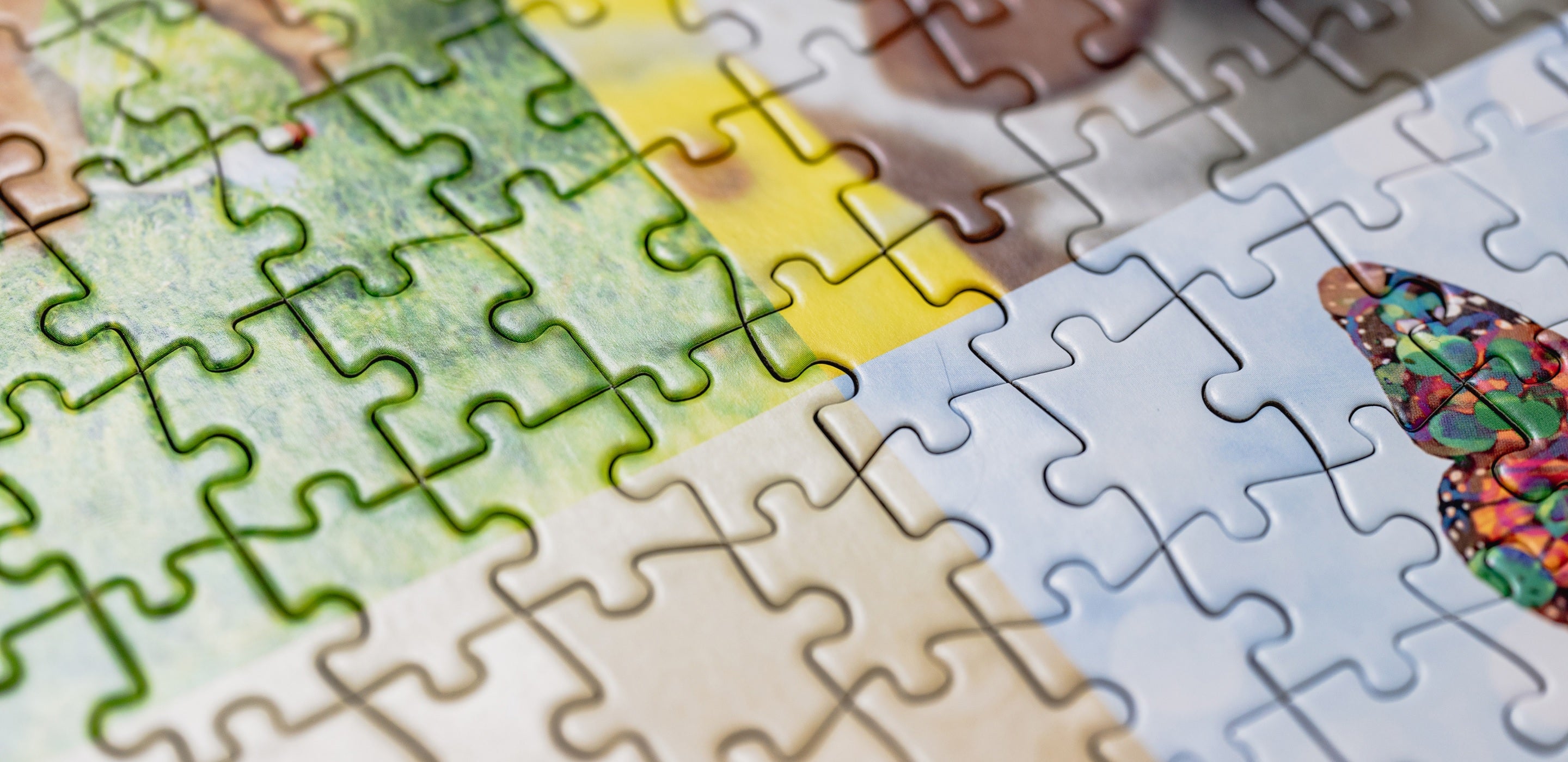 files/puzzle-bg.jpg